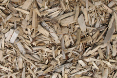 biomass boilers Ardvannie